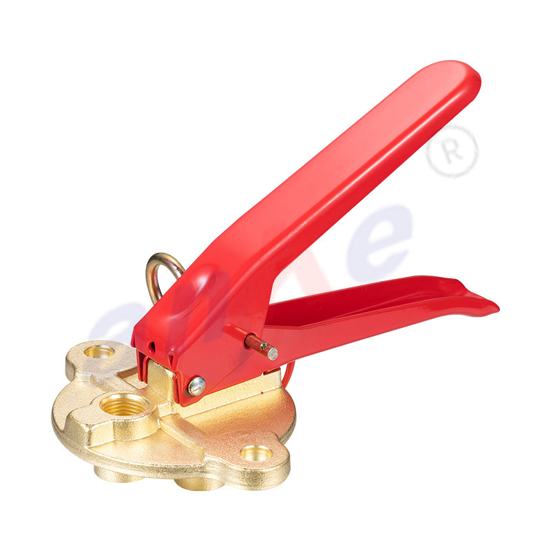 Brass Body 6-9KG Dry Powder Fire Extinguisher Valve 1108