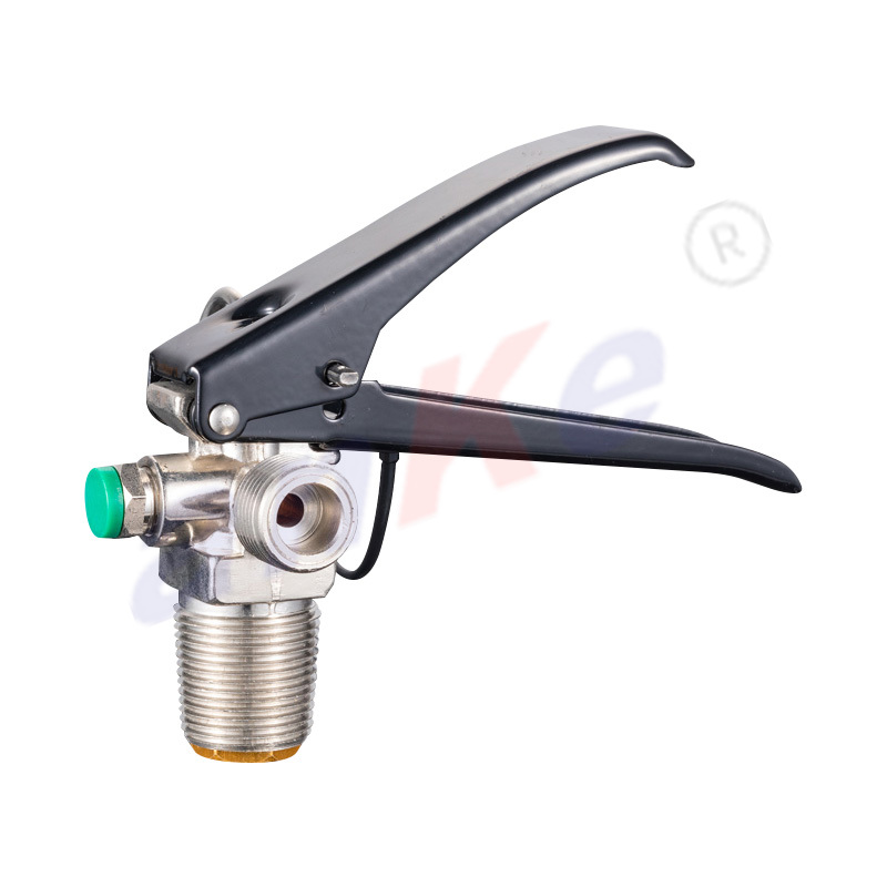 2-9KG CO2 Fire Extinguisher Copper Valve 2005