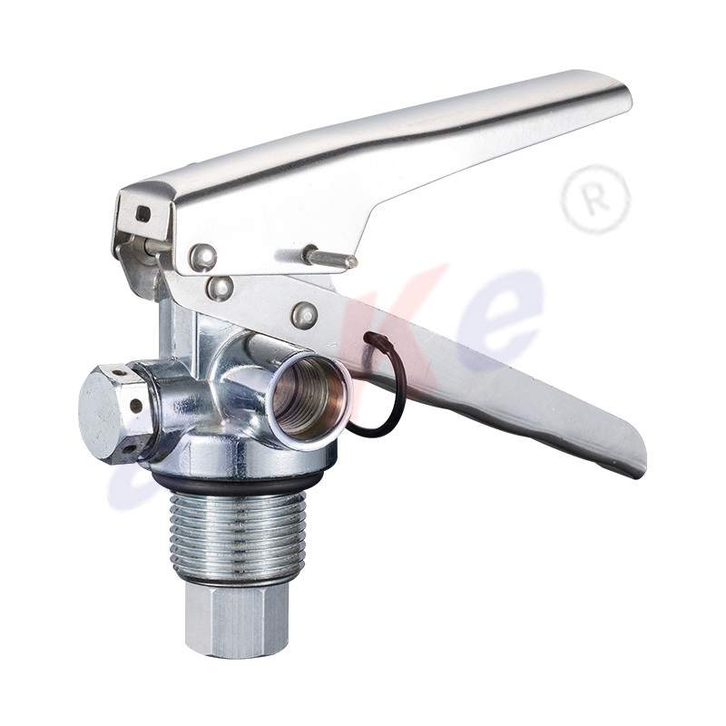 High Corrosion Resistance Stainless Steel Handle Foam Type Fire Extinguisher 2072