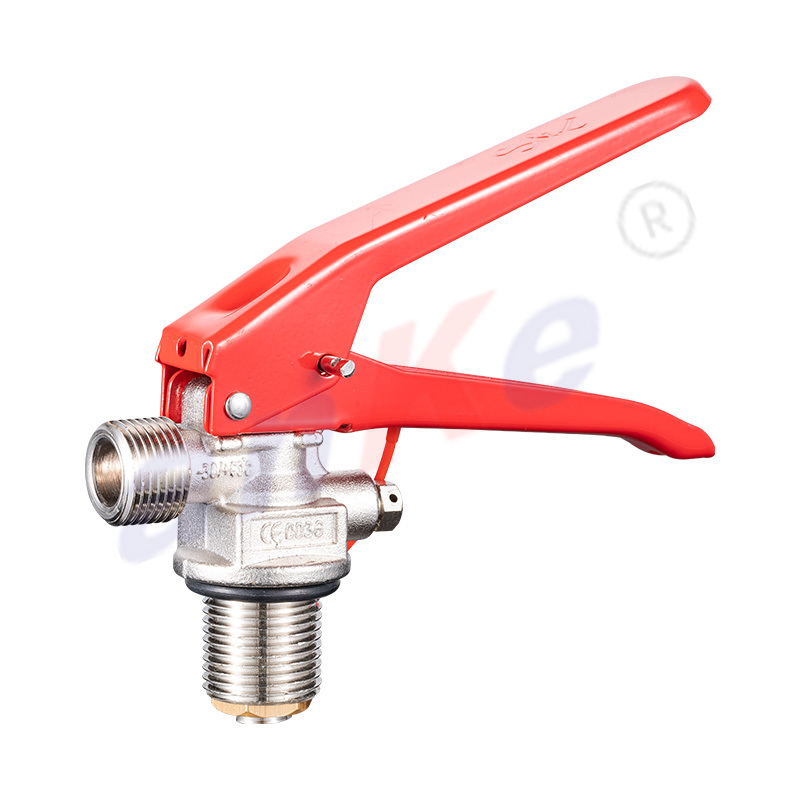 Stainless Steel CE Certificated Valve for 2-6KG CO2 Fire Extinguisher 2008